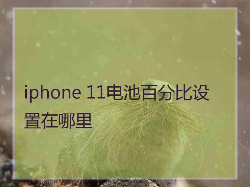 iphone 11电池百分比设置在哪里