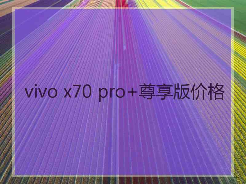 vivo x70 pro+尊享版价格