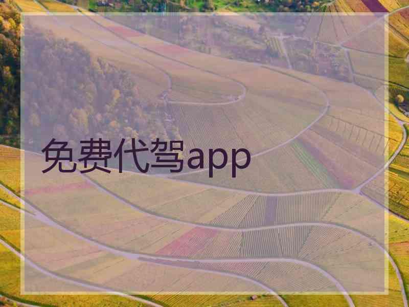 免费代驾app