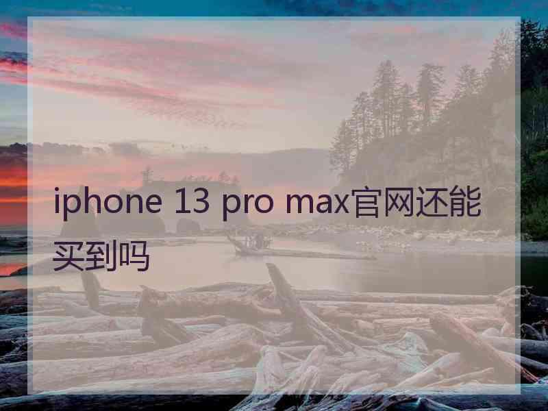 iphone 13 pro max官网还能买到吗