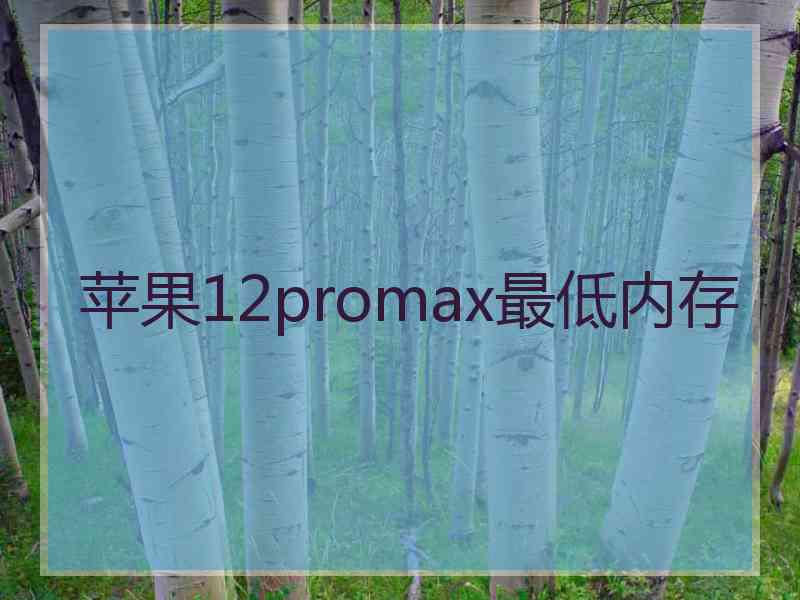 苹果12promax最低内存