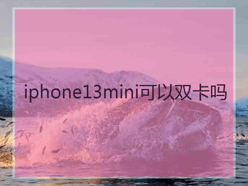 iphone13mini可以双卡吗