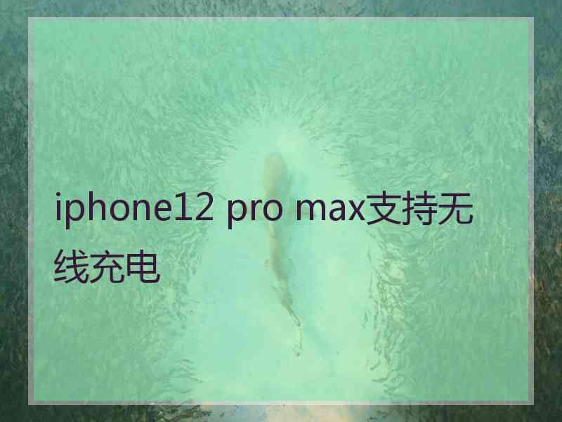 iphone12 pro max支持无线充电