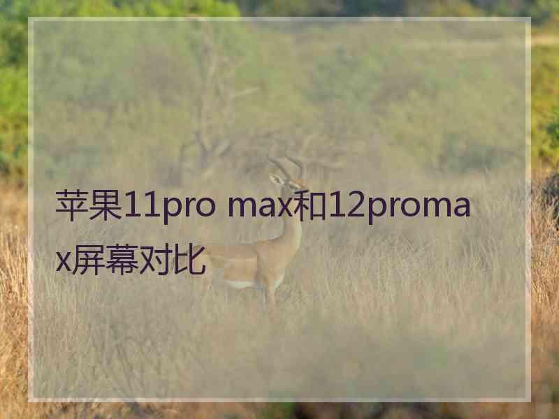 苹果11pro max和12promax屏幕对比