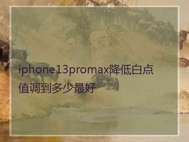 iphone13promax降低白点值调到多少最好