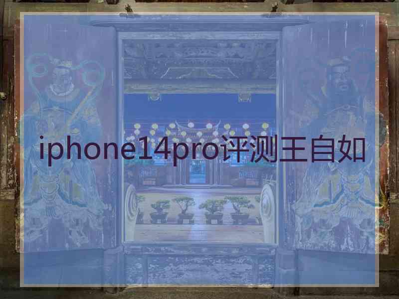 iphone14pro评测王自如