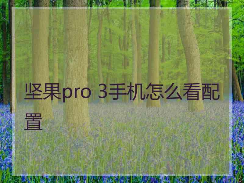 坚果pro 3手机怎么看配置