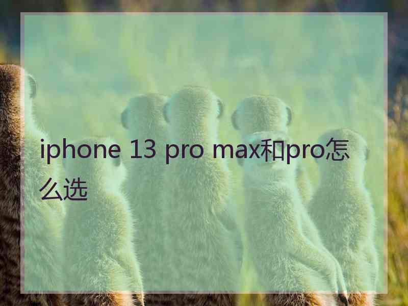 iphone 13 pro max和pro怎么选