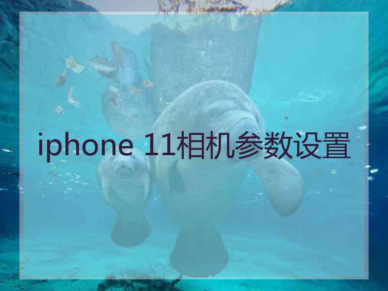 iphone 11相机参数设置