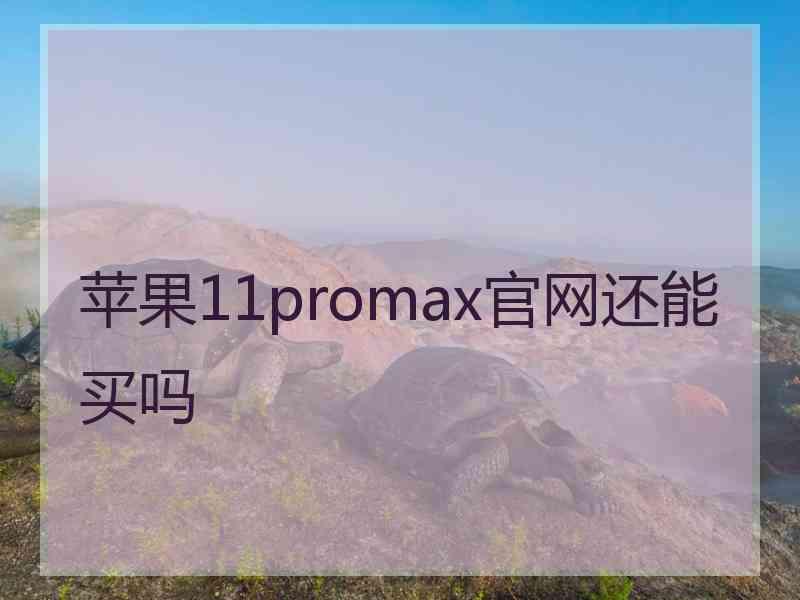 苹果11promax官网还能买吗