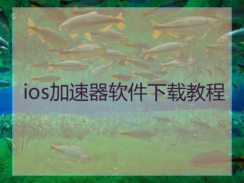 ios加速器软件下载教程