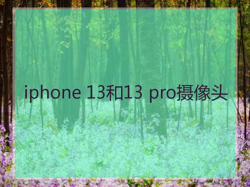 iphone 13和13 pro摄像头