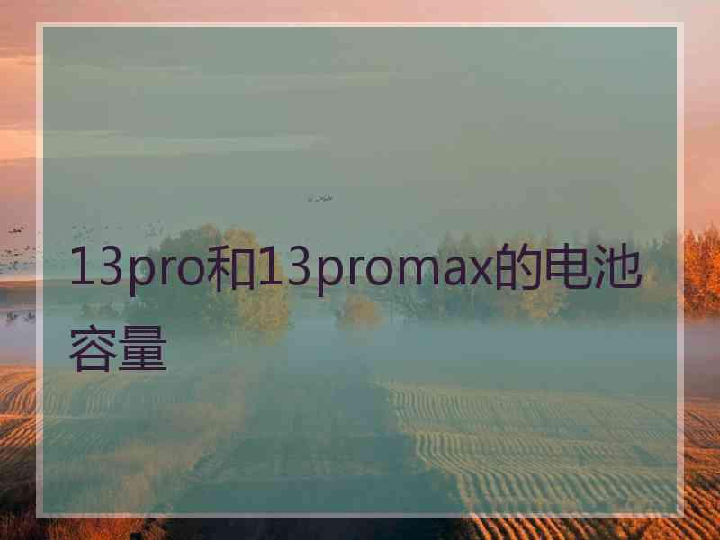 13pro和13promax的电池容量