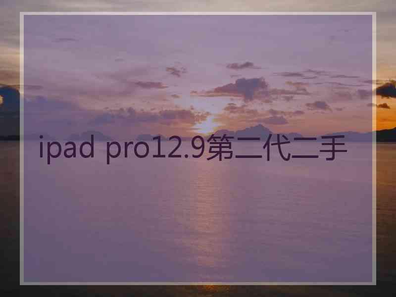 ipad pro12.9第二代二手