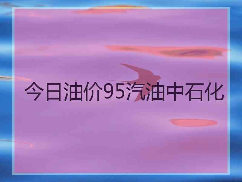 今日油价95汽油中石化