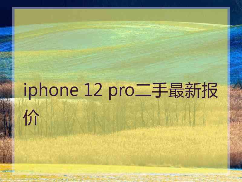 iphone 12 pro二手最新报价