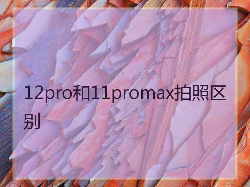 12pro和11promax拍照区别