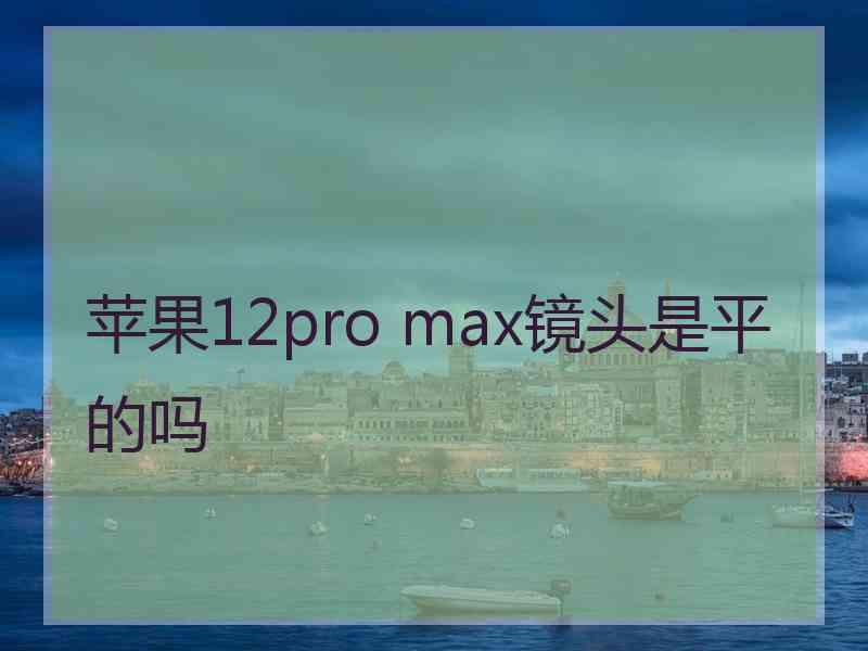 苹果12pro max镜头是平的吗