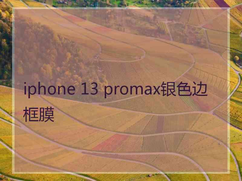 iphone 13 promax银色边框膜