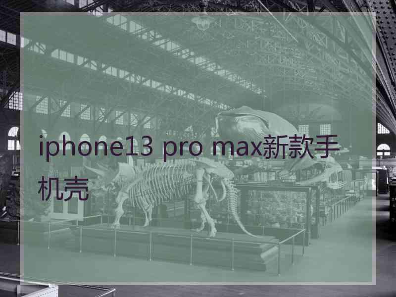 iphone13 pro max新款手机壳