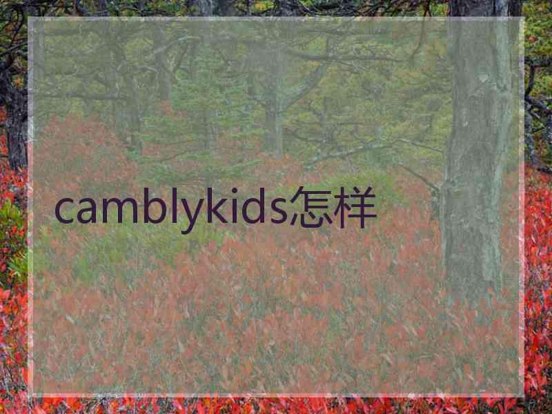 camblykids怎样