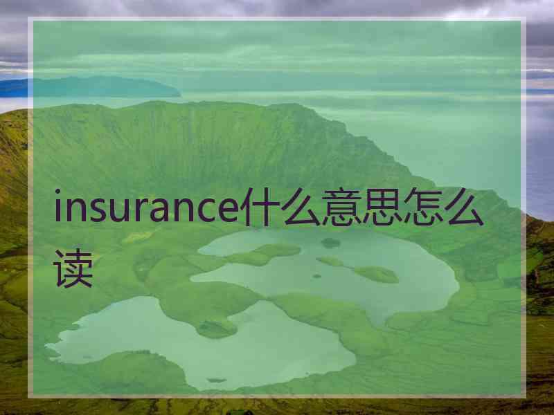 insurance什么意思怎么读