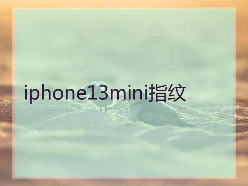 iphone13mini指纹