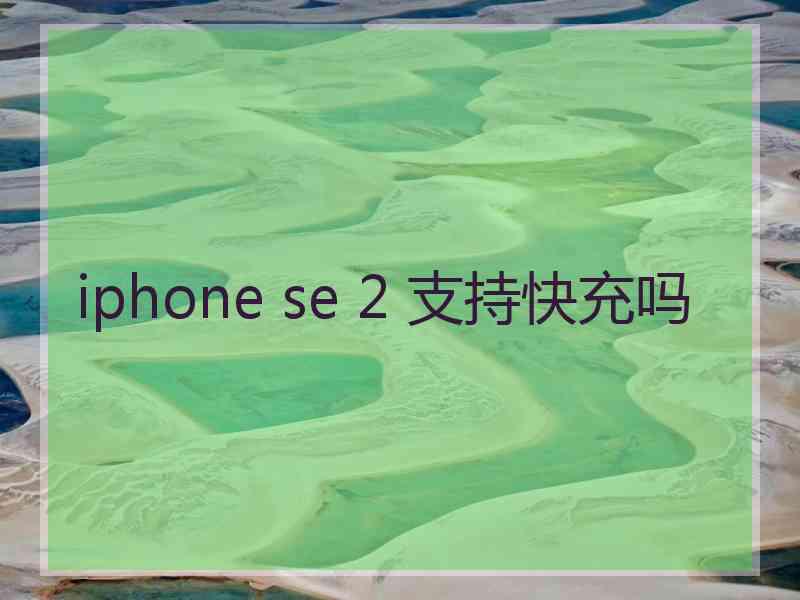 iphone se 2 支持快充吗