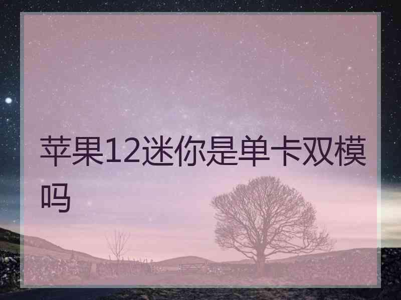 苹果12迷你是单卡双模吗