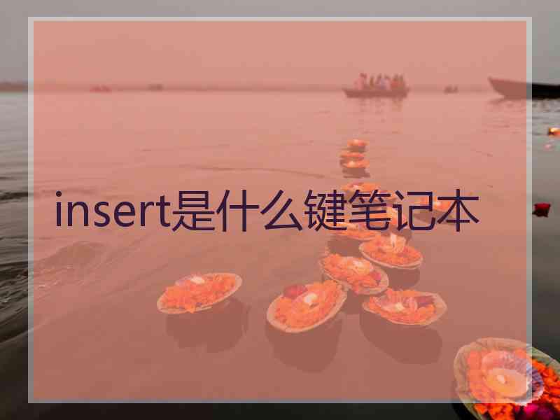 insert是什么键笔记本