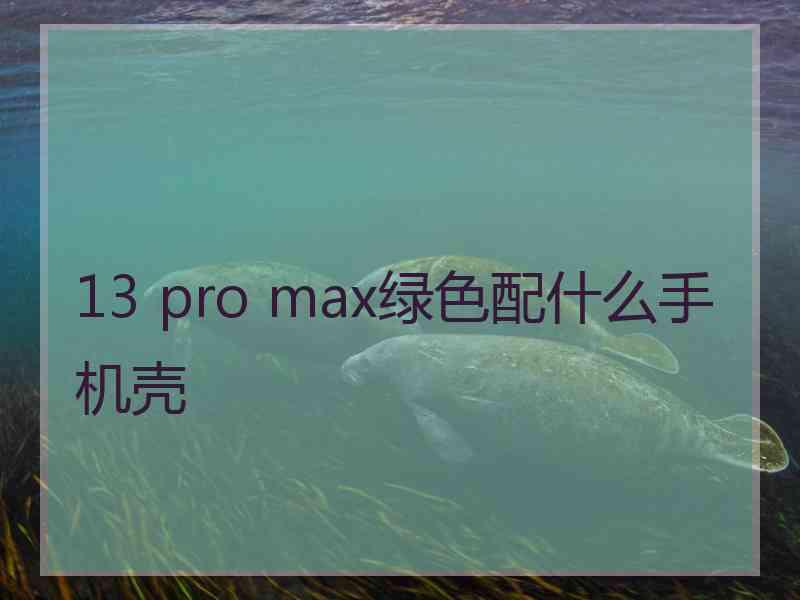 13 pro max绿色配什么手机壳