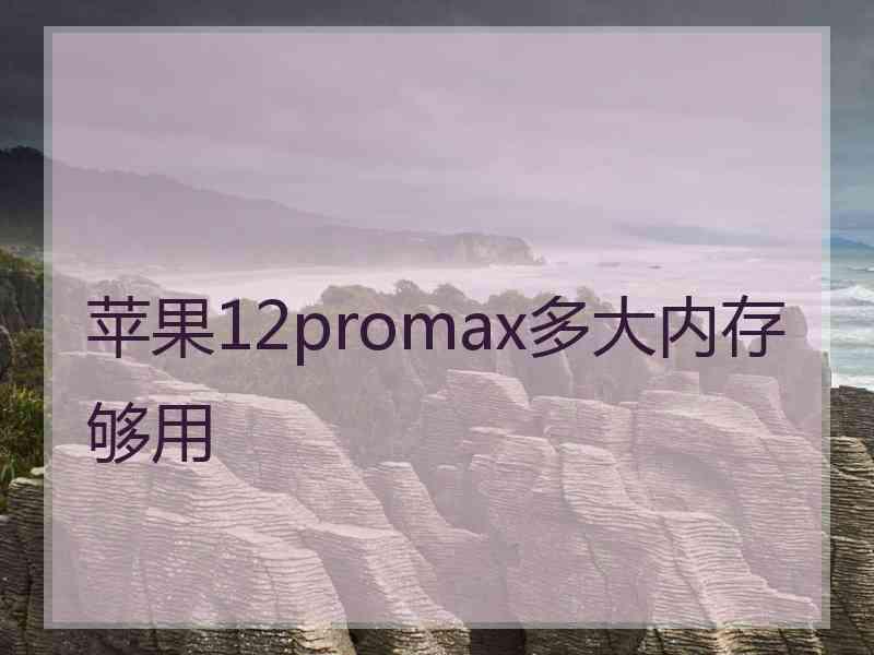 苹果12promax多大内存够用