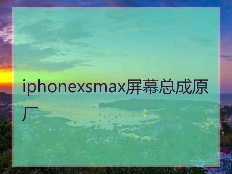 iphonexsmax屏幕总成原厂