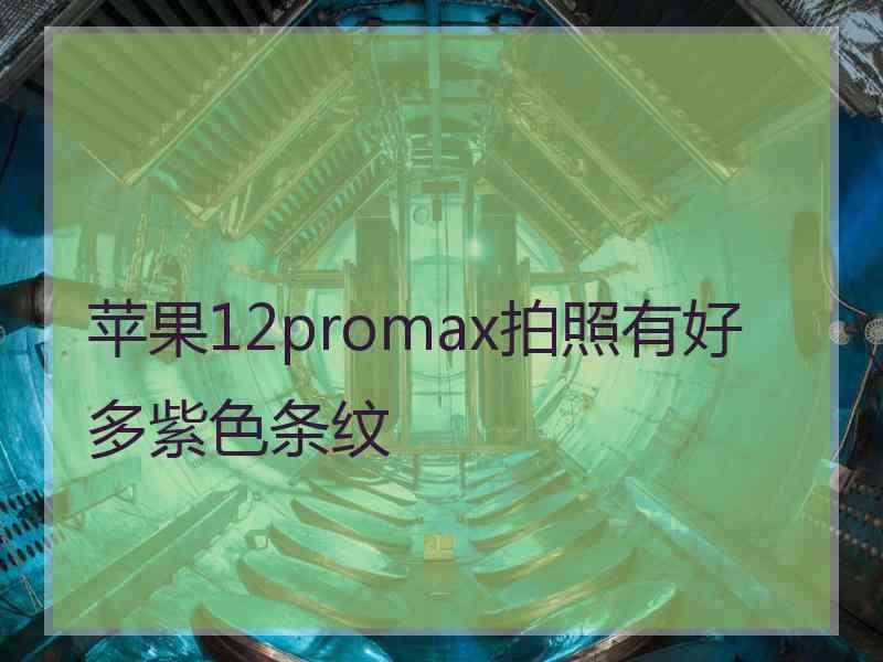 苹果12promax拍照有好多紫色条纹