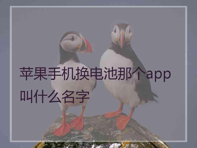 苹果手机换电池那个app叫什么名字