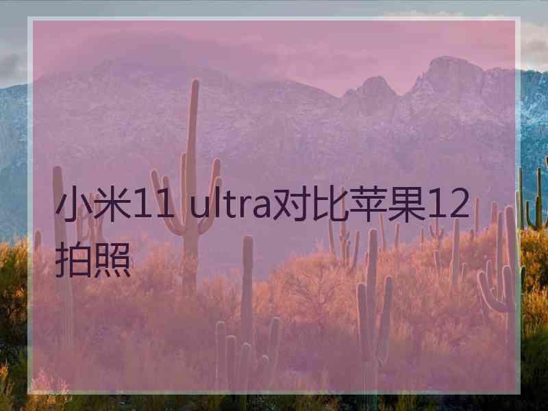 小米11 ultra对比苹果12拍照