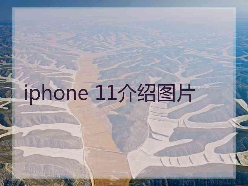 iphone 11介绍图片