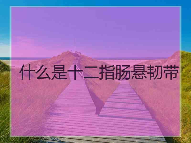 什么是十二指肠悬韧带