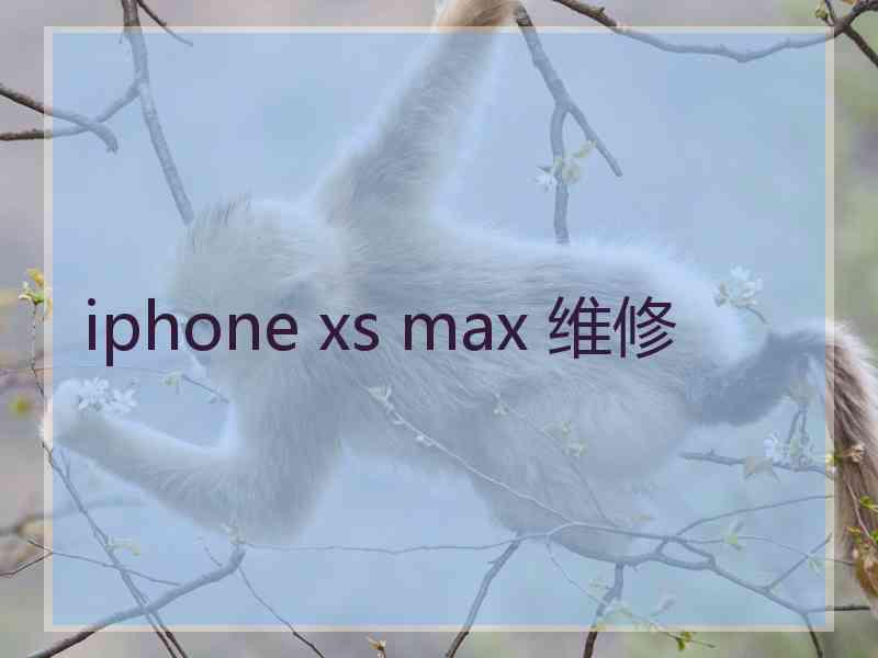 iphone xs max 维修