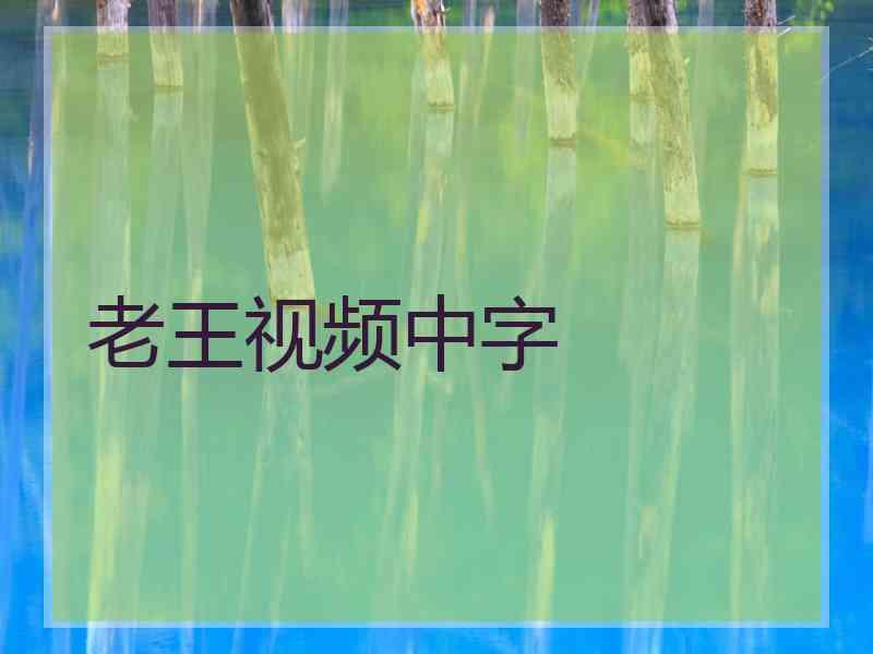 老王视频中字