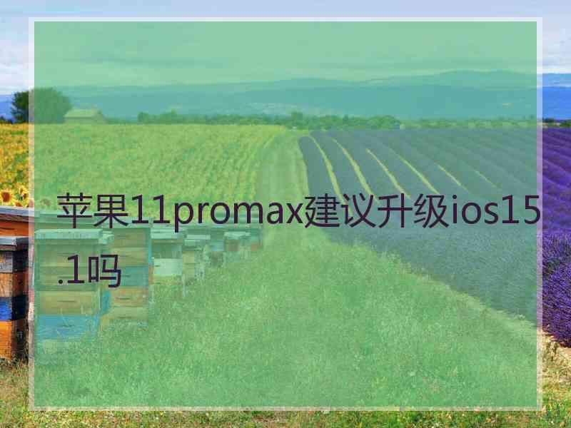 苹果11promax建议升级ios15.1吗