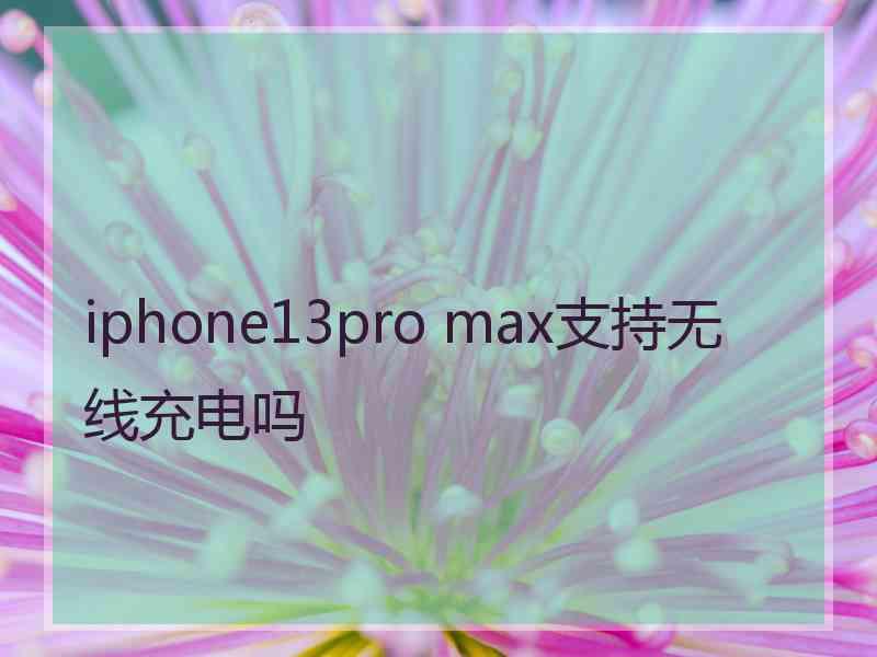 iphone13pro max支持无线充电吗