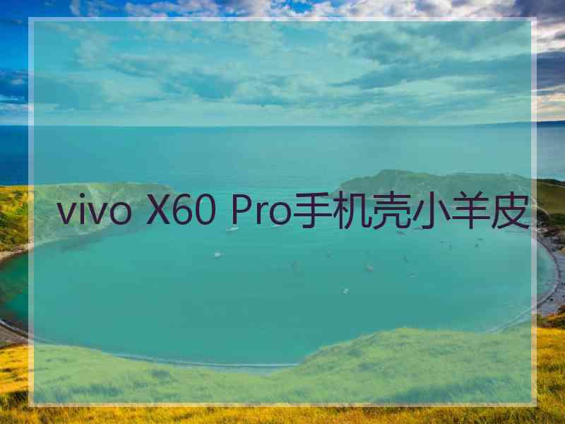 vivo X60 Pro手机壳小羊皮