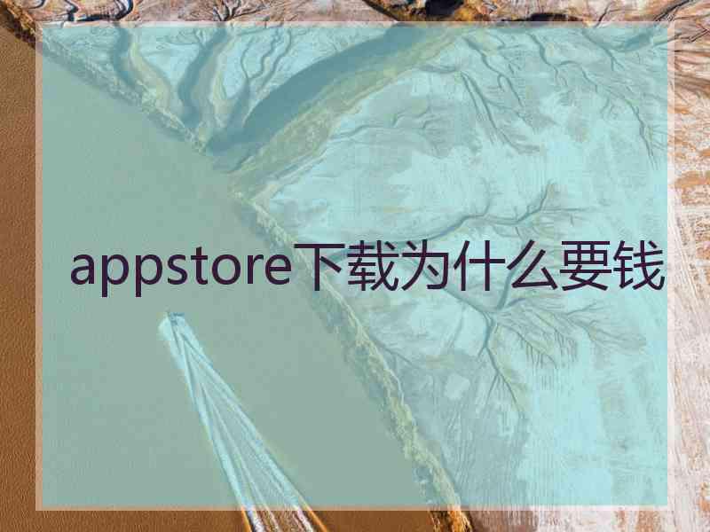 appstore下载为什么要钱