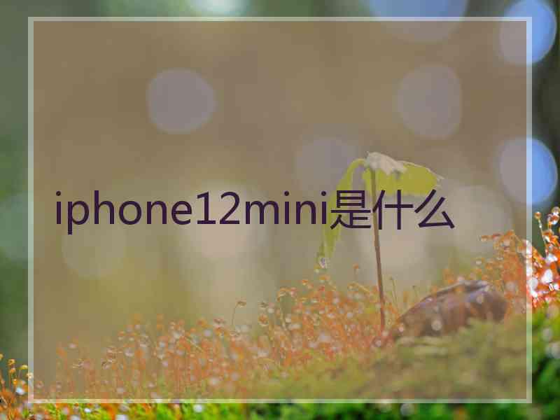 iphone12mini是什么