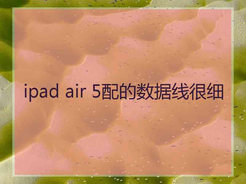 ipad air 5配的数据线很细