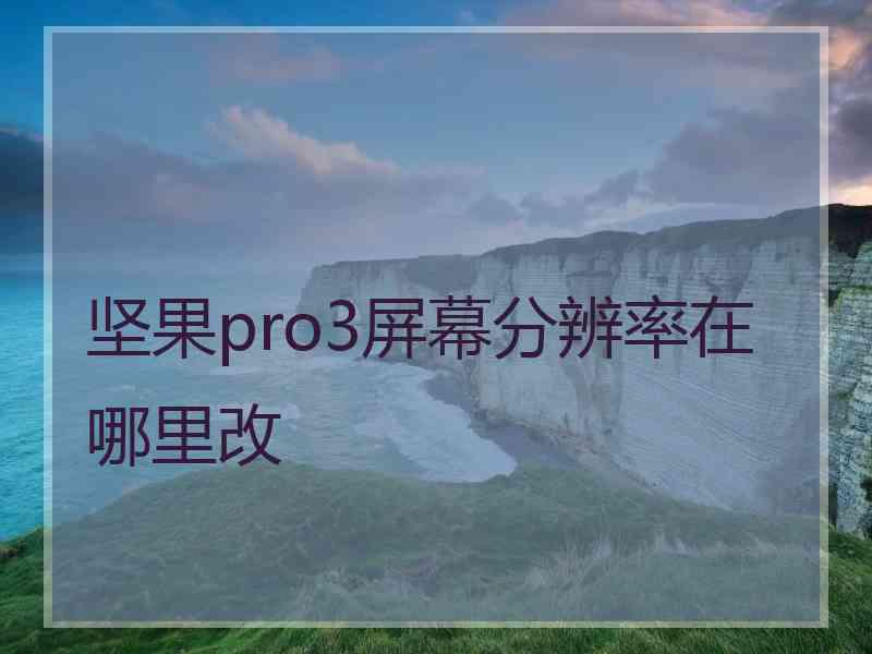 坚果pro3屏幕分辨率在哪里改