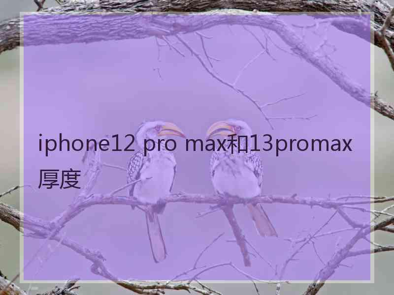 iphone12 pro max和13promax厚度