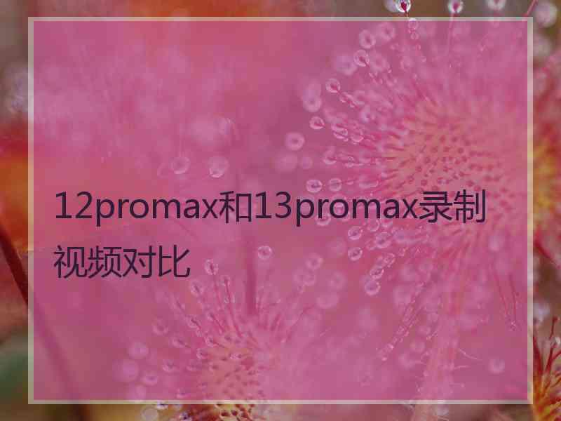 12promax和13promax录制视频对比