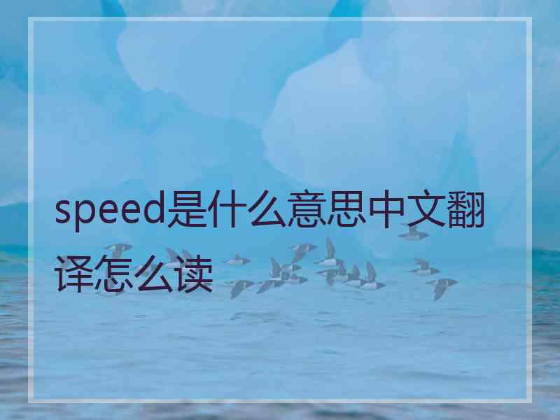 speed是什么意思中文翻译怎么读